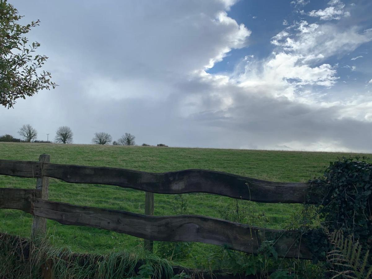Character Dartmoor Cottage Йелвертон Экстерьер фото